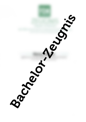 Bachelor Zeugnis